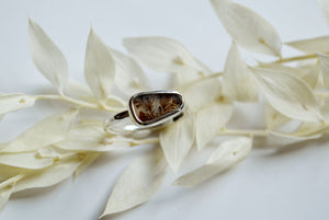 Dendritic agate freeform ring